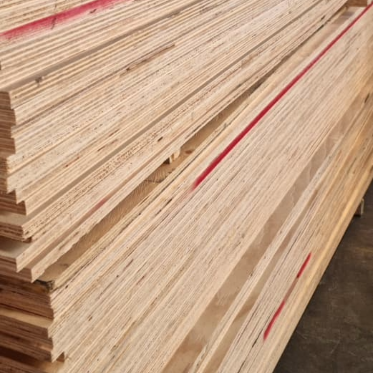 Terciado Economico 15mm